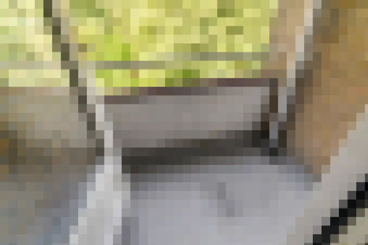 Meeslaan 18 Delft thumbnail 25