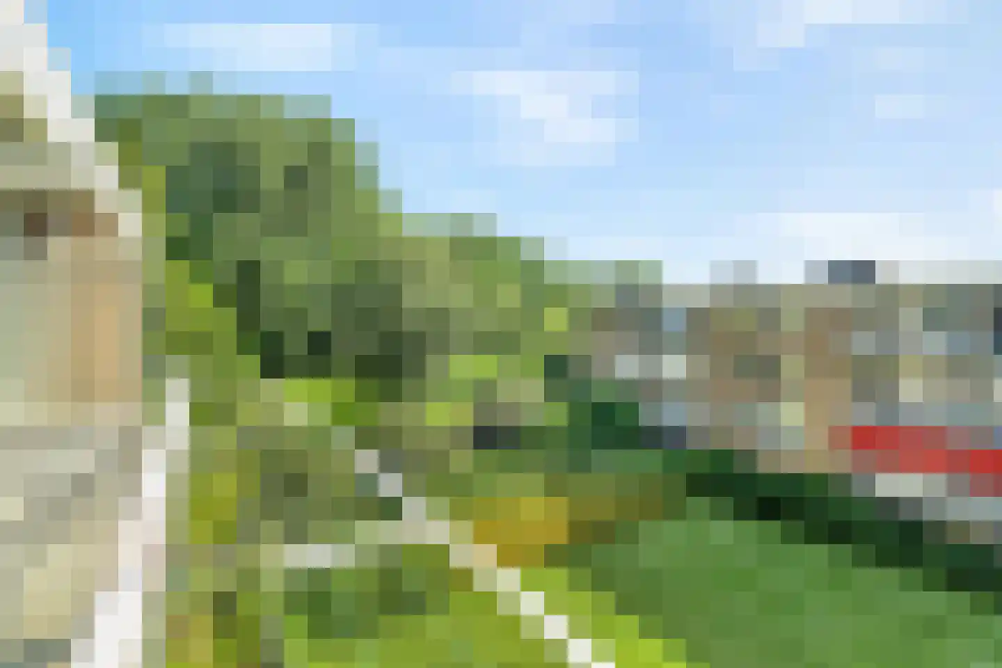 Meeslaan 18 Delft thumbnail 29