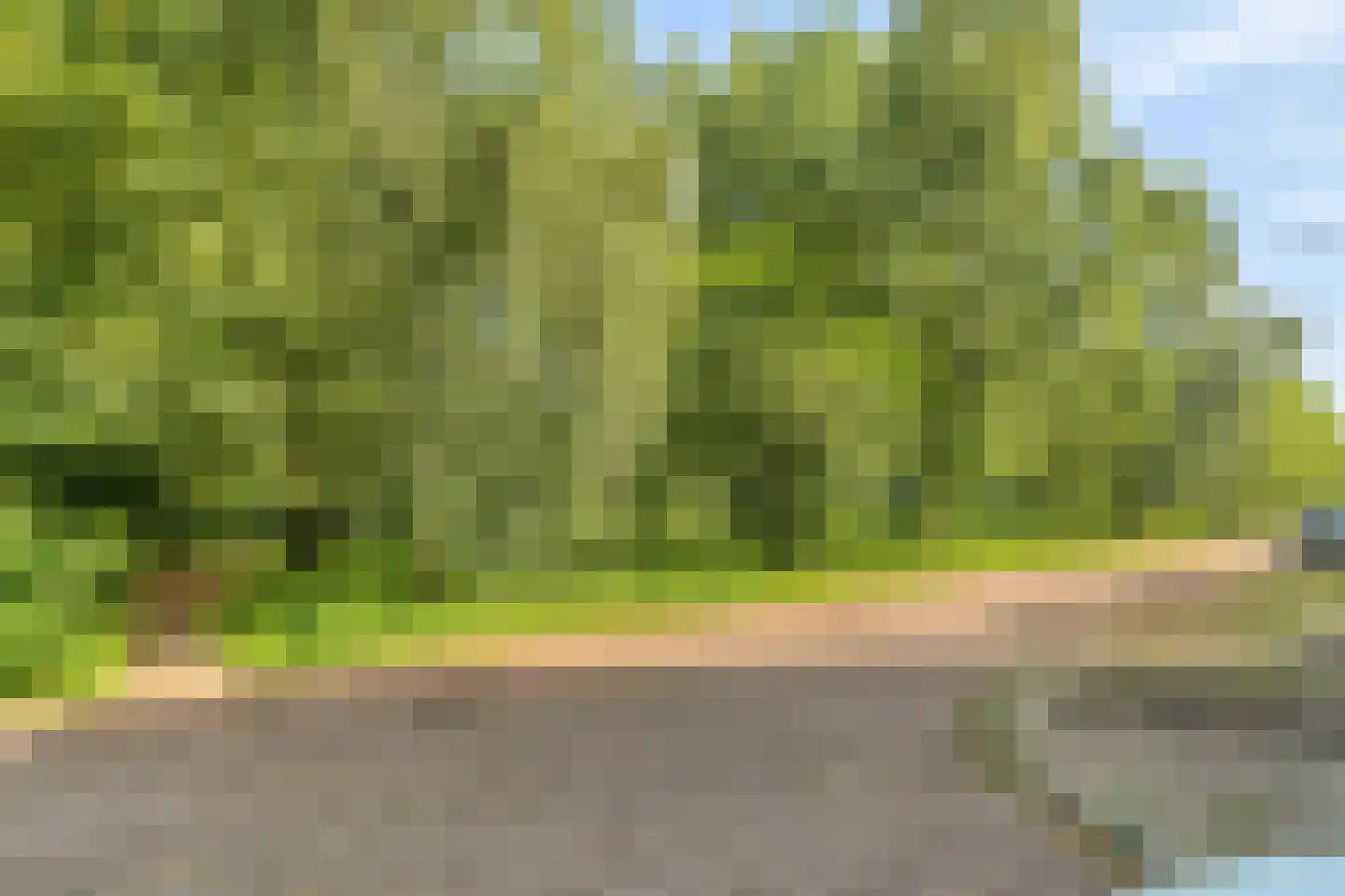Meeslaan 18 Delft thumbnail 31