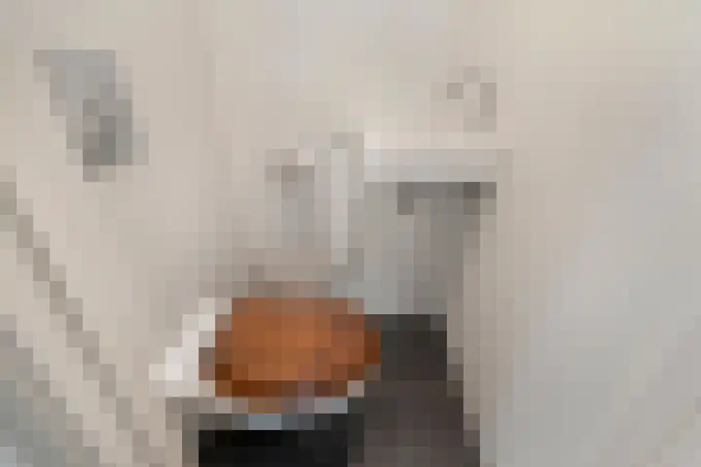 Meeslaan 18 Delft thumbnail 8