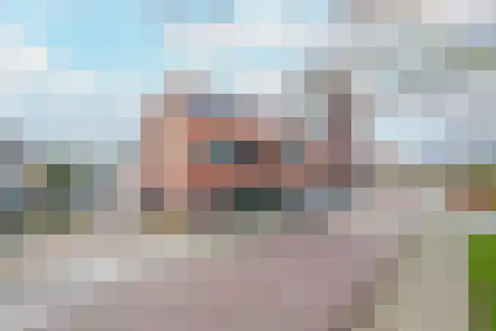 Meeslaan 2 08 in Tiel