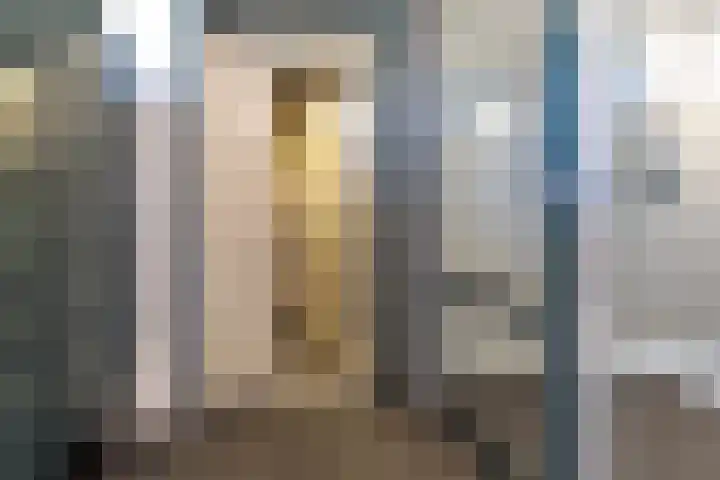 Meeslaan 2 08 Tiel thumbnail 12