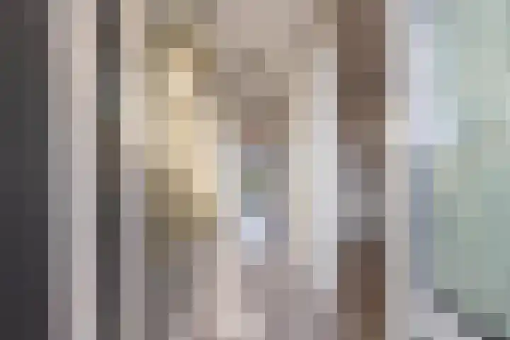Meeslaan 2 08 Tiel thumbnail 14