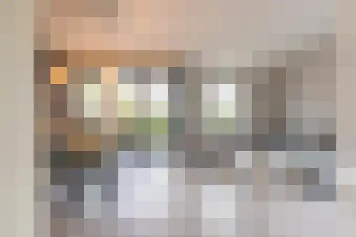 Meeslaan 2 08 Tiel thumbnail 15