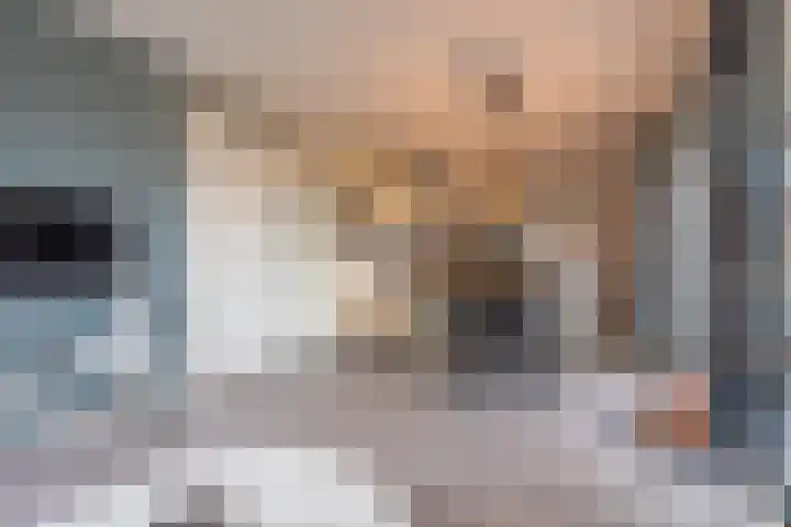Meeslaan 2 08 Tiel thumbnail 18