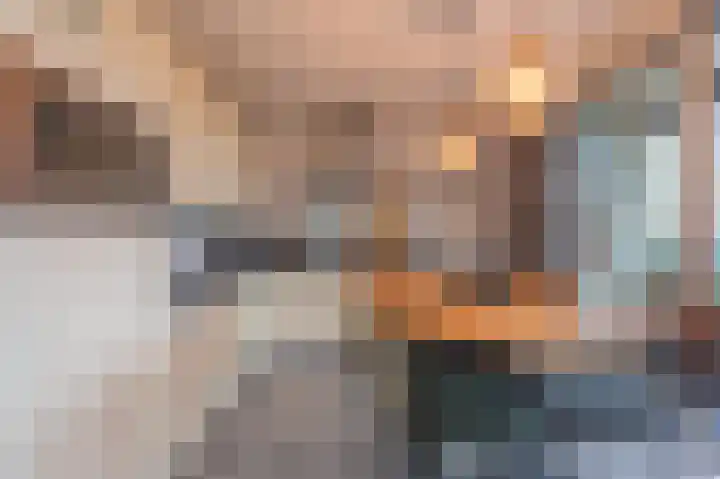Meeslaan 2 08 Tiel thumbnail 21