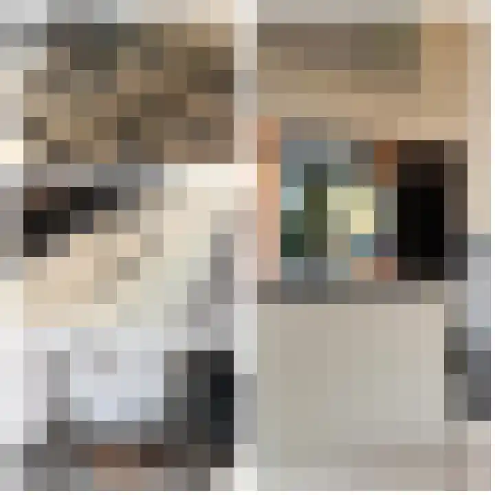 Meeslaan 2 08 Tiel thumbnail 22
