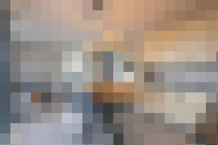 Meeslaan 2 08 Tiel thumbnail 23