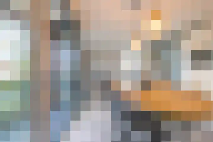 Meeslaan 2 08 Tiel thumbnail 24