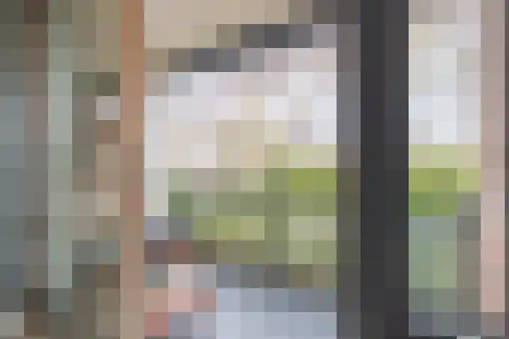 Meeslaan 2 08 Tiel thumbnail 25