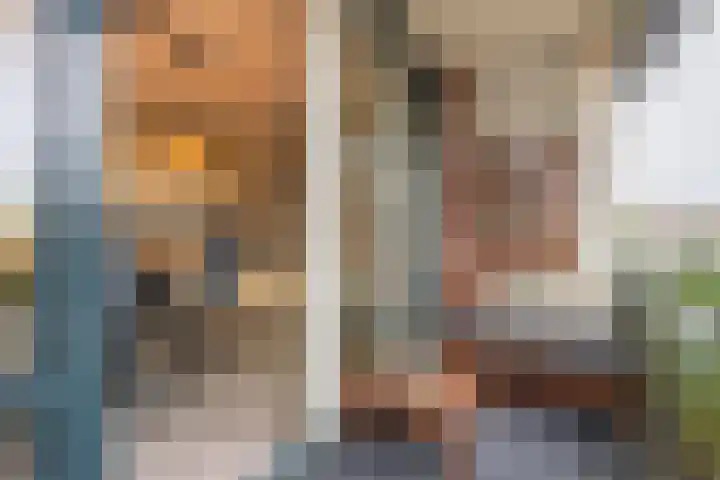 Meeslaan 2 08 Tiel thumbnail 26