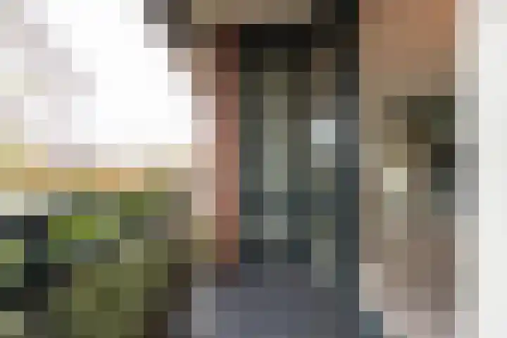 Meeslaan 2 08 Tiel thumbnail 27