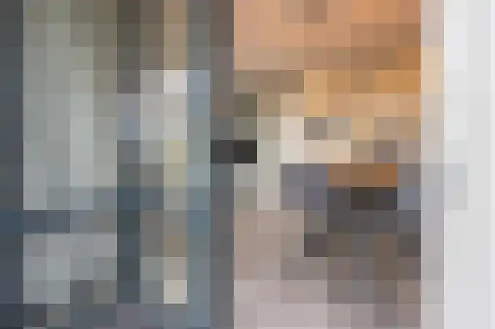 Meeslaan 2 08 Tiel thumbnail 28