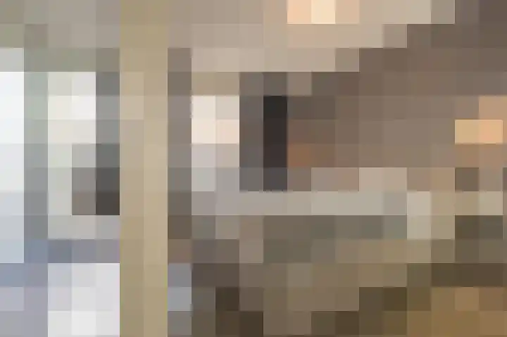 Meeslaan 2 08 Tiel thumbnail 29