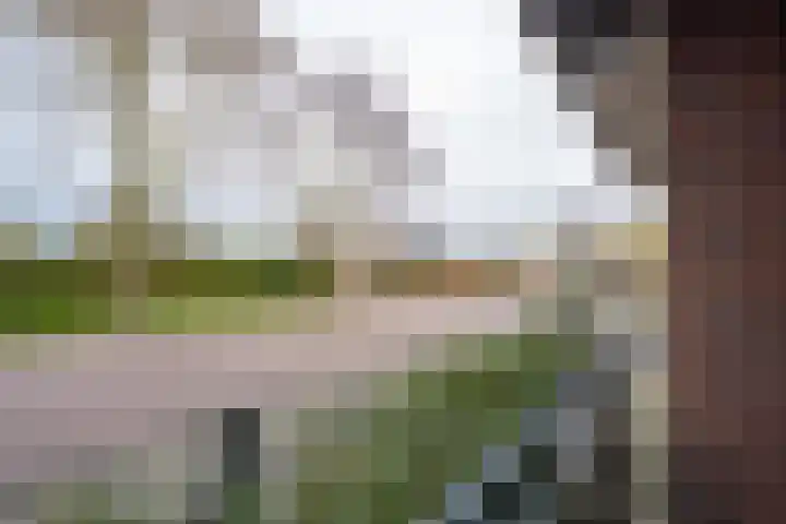 Meeslaan 2 08 Tiel foto 3