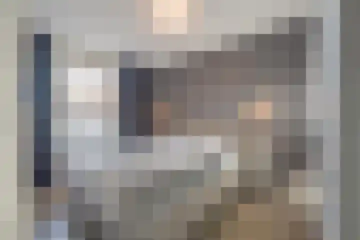 Meeslaan 2 08 Tiel thumbnail 30