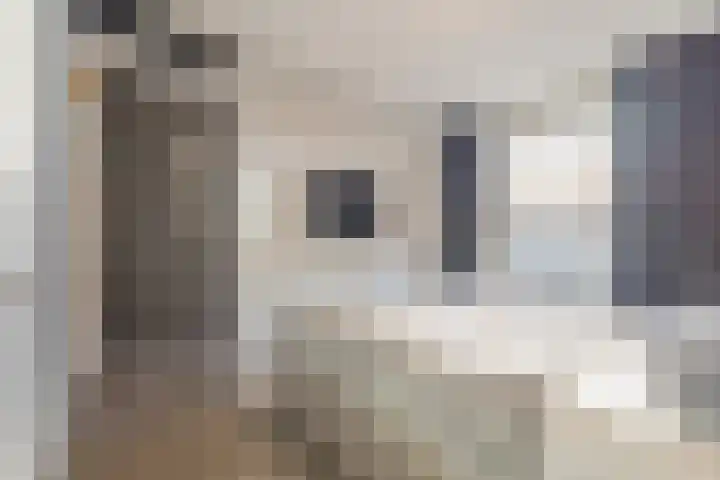 Meeslaan 2 08 Tiel thumbnail 31
