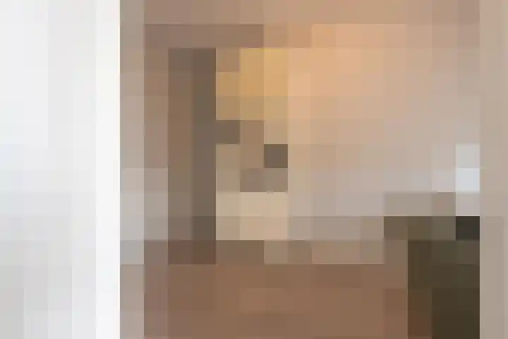 Meeslaan 2 08 Tiel thumbnail 33