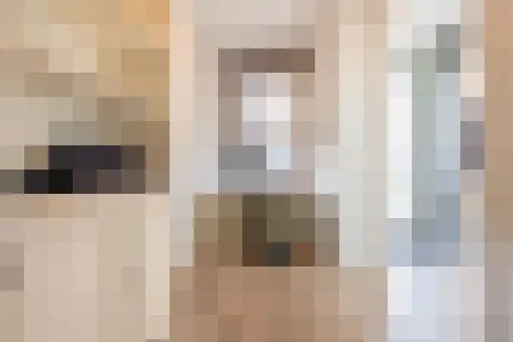 Meeslaan 2 08 Tiel thumbnail 34