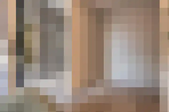 Meeslaan 2 08 Tiel thumbnail 35