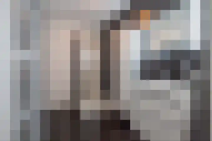 Meeslaan 2 08 Tiel thumbnail 36