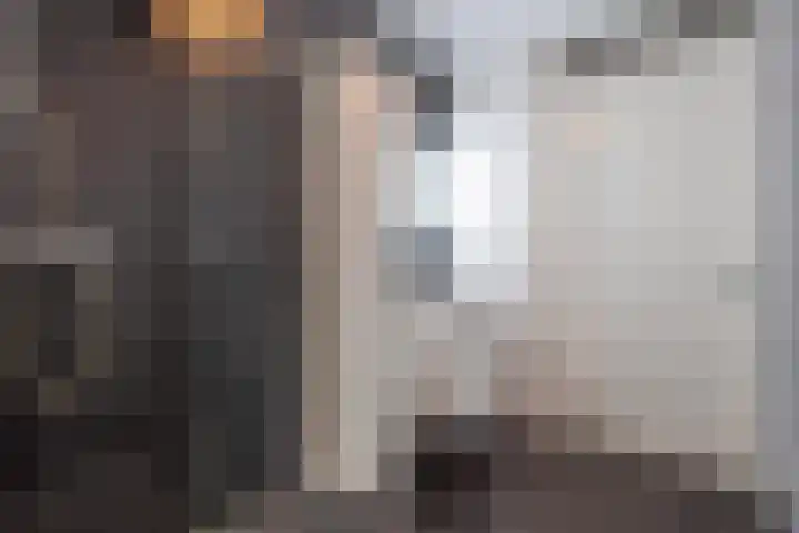 Meeslaan 2 08 Tiel thumbnail 38
