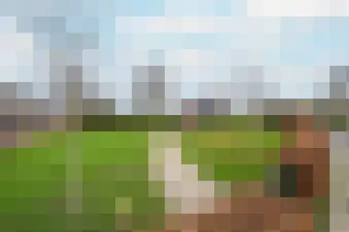 Meeslaan 2 08 Tiel thumbnail 4