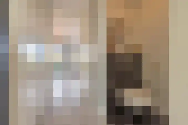 Meeslaan 2 08 Tiel thumbnail 40