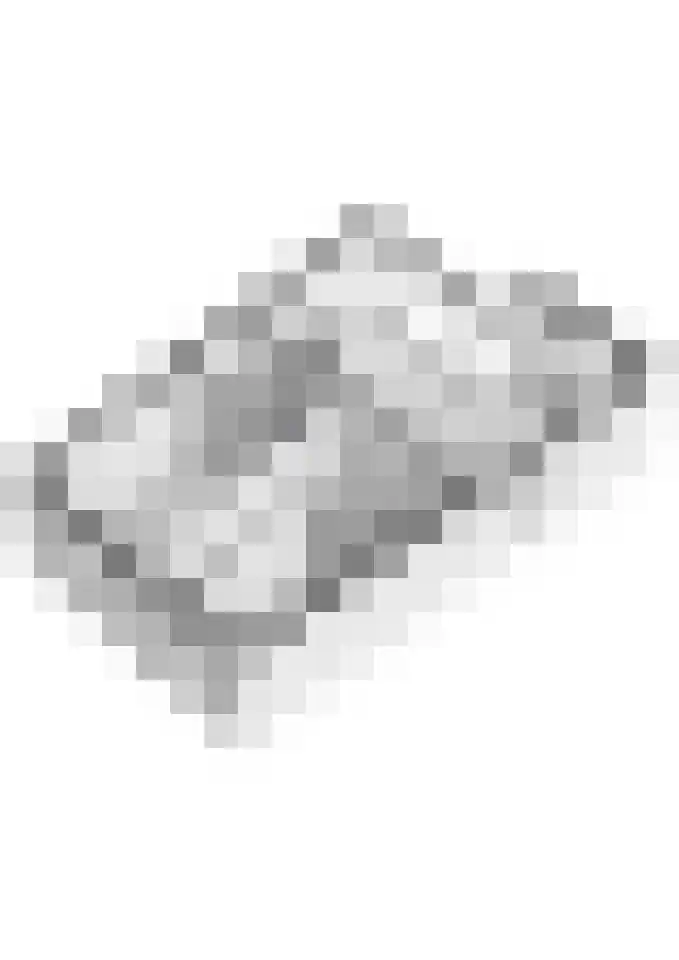 Meeslaan 2 08 Tiel thumbnail 49