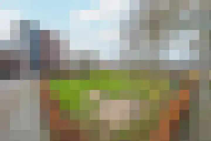 Meeslaan 2 08 Tiel thumbnail 5