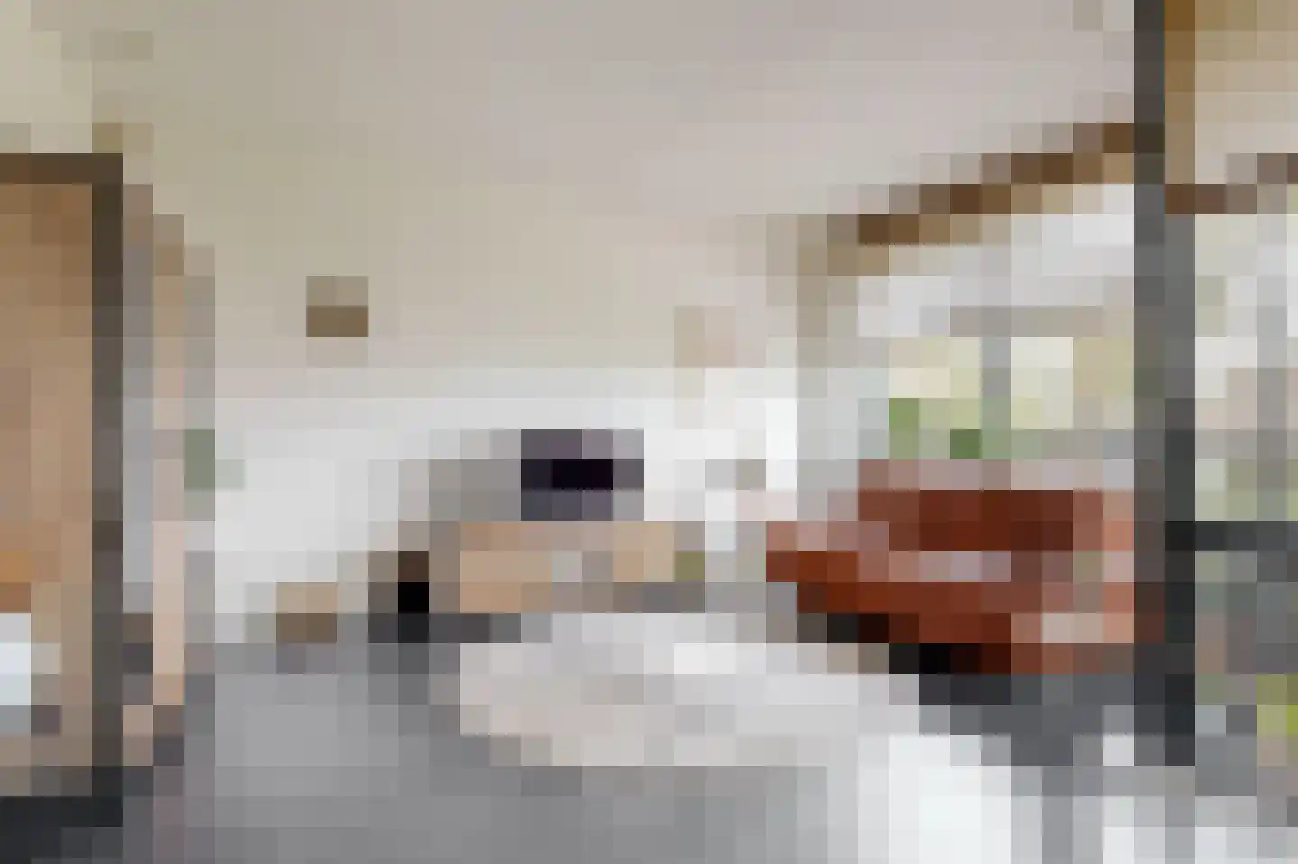 Meeslaan 2 17 Tiel thumbnail 11