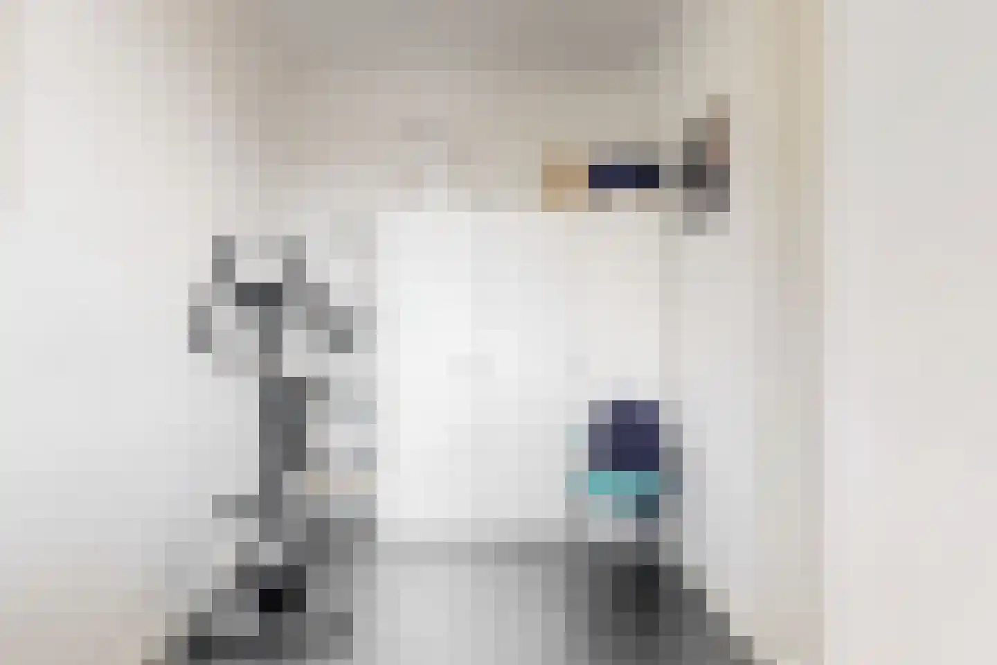 Meeslaan 2 17 Tiel thumbnail 21
