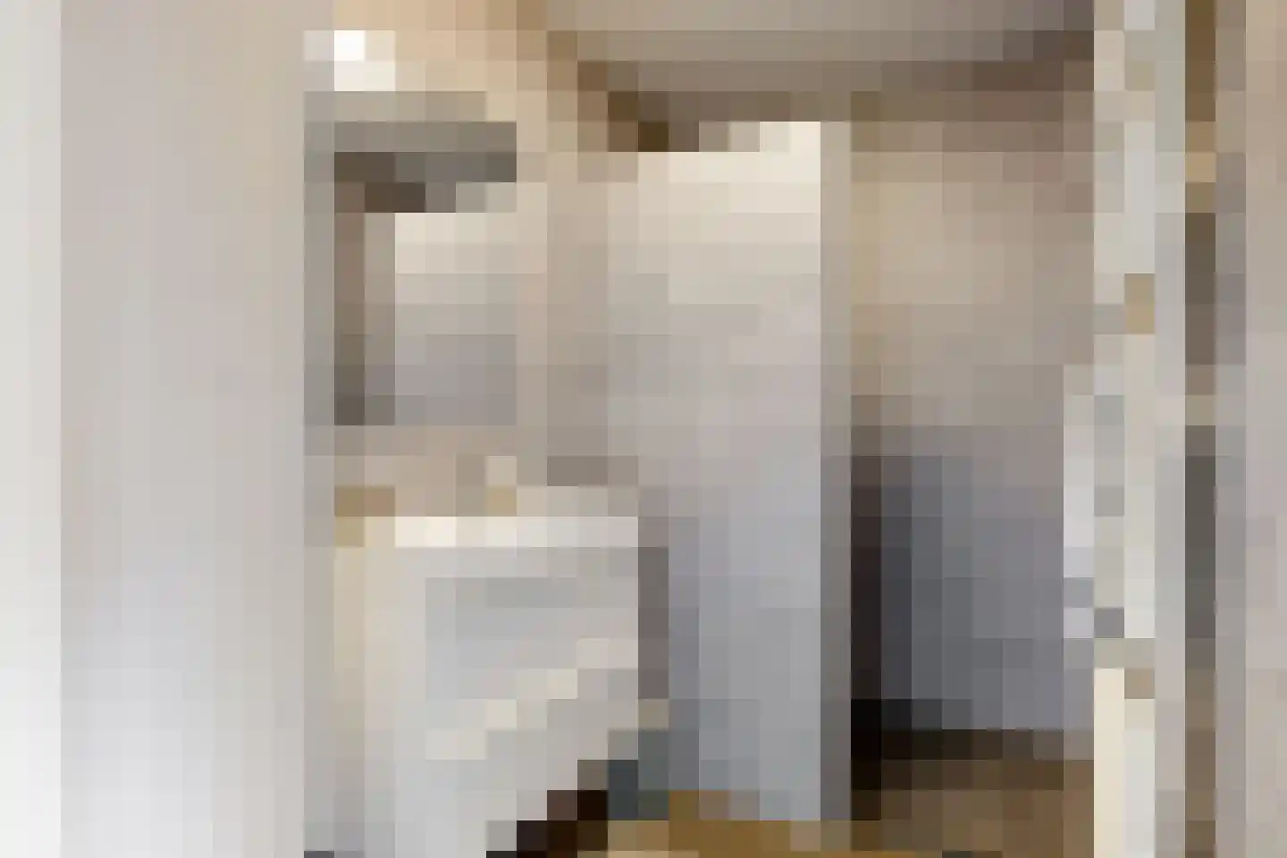 Meeslaan 2 17 Tiel thumbnail 22