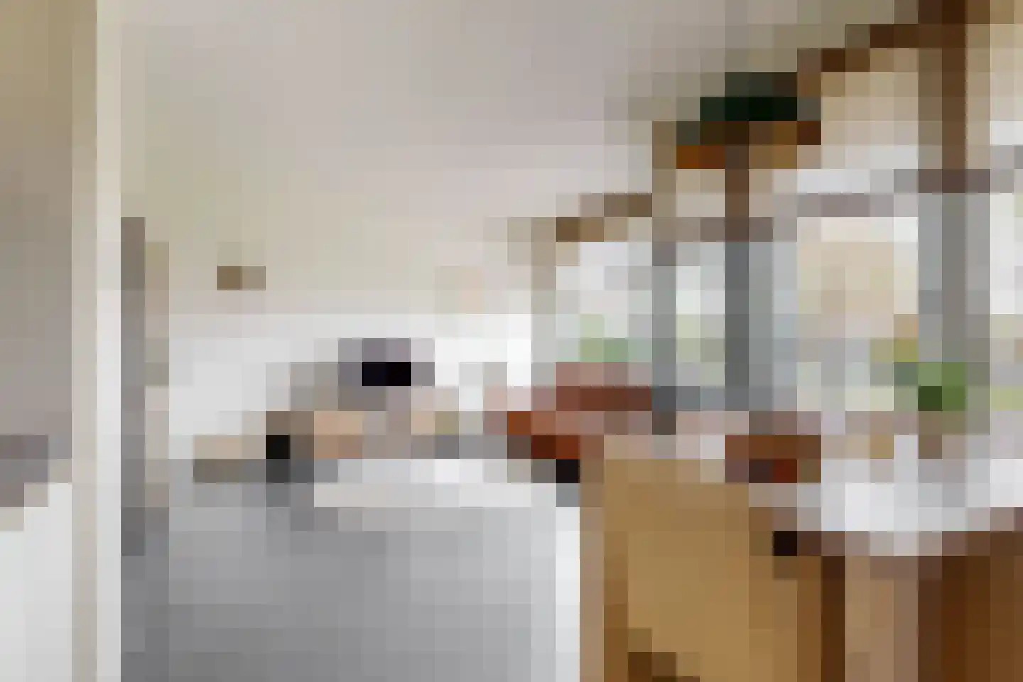 Meeslaan 2 17 Tiel thumbnail 24