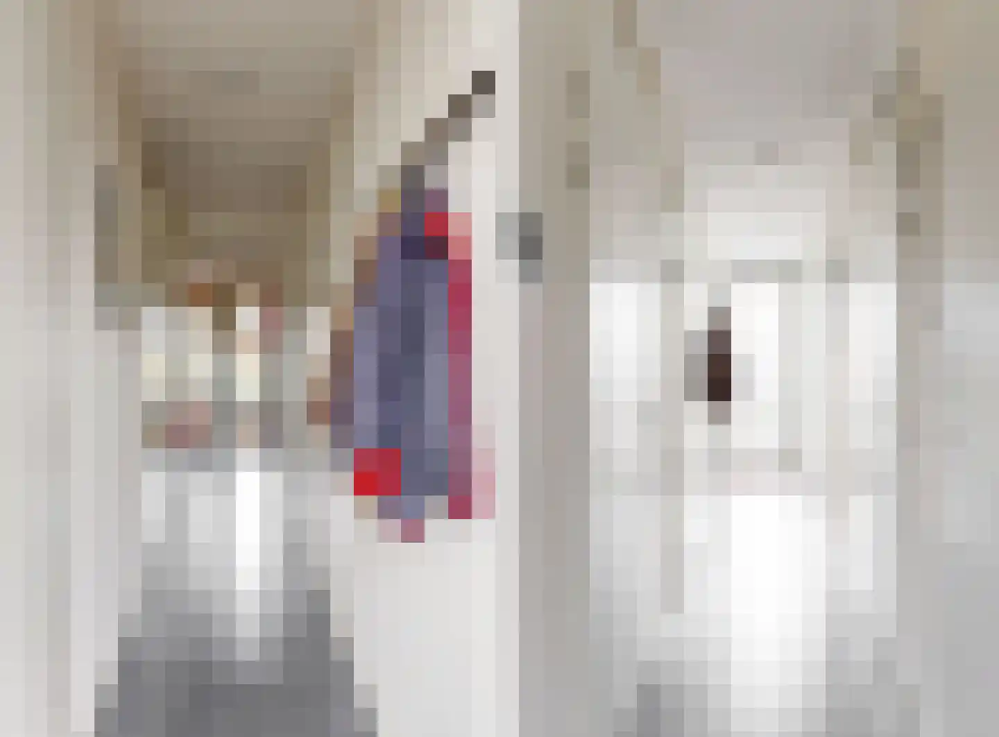 Meeslaan 2 17 Tiel thumbnail 26