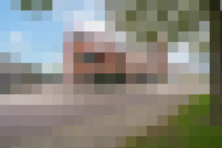 Meeslaan 2 28 Tiel