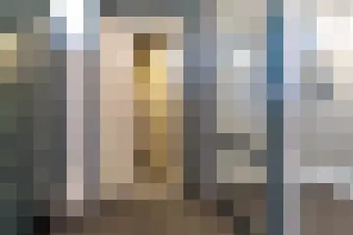 Meeslaan 2 28 Tiel thumbnail 11