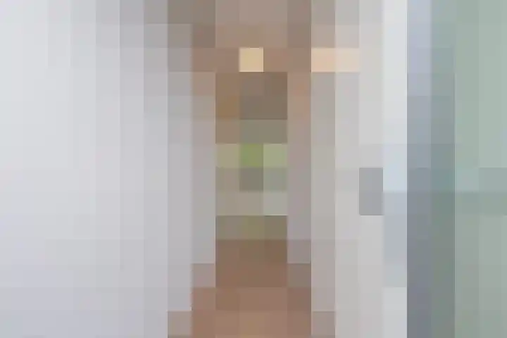 Meeslaan 2 28 Tiel thumbnail 14