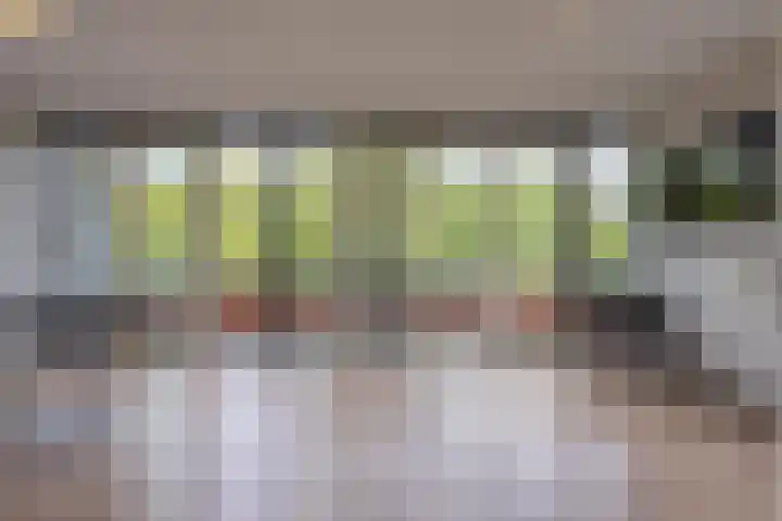 Meeslaan 2 28 Tiel thumbnail 15