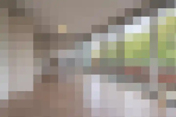 Meeslaan 2 28 Tiel thumbnail 16