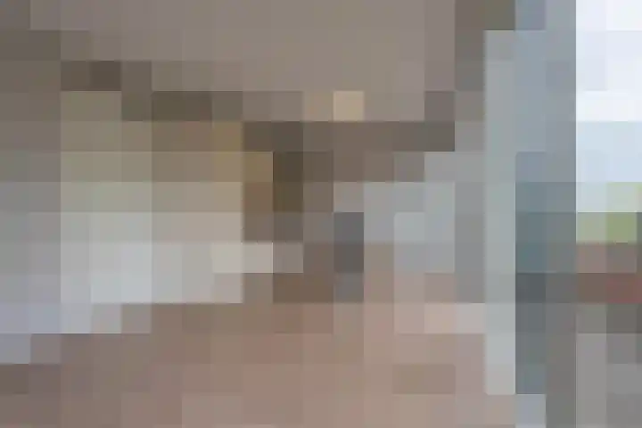 Meeslaan 2 28 Tiel thumbnail 17