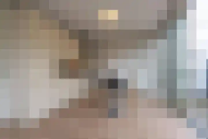 Meeslaan 2 28 Tiel thumbnail 18