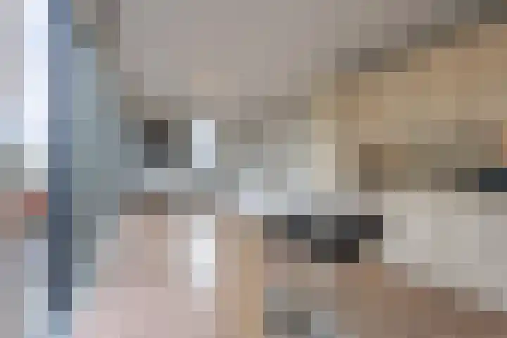 Meeslaan 2 28 Tiel thumbnail 21
