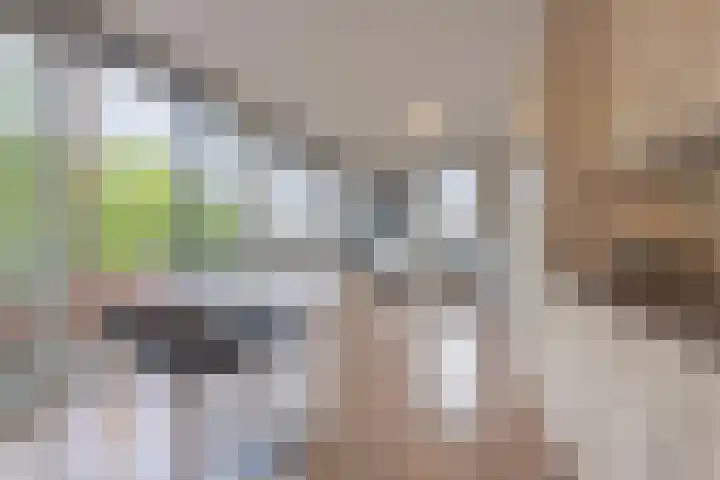 Meeslaan 2 28 Tiel thumbnail 22