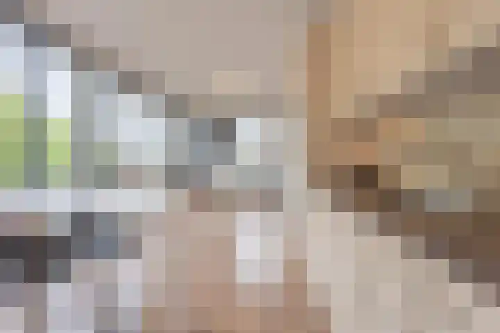 Meeslaan 2 28 Tiel thumbnail 23