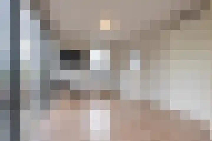 Meeslaan 2 28 Tiel thumbnail 24