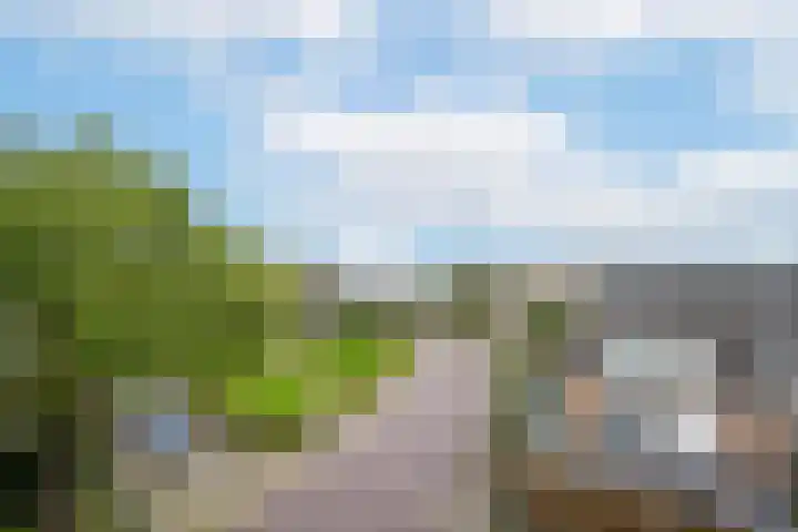 Meeslaan 2 28 Tiel thumbnail 26