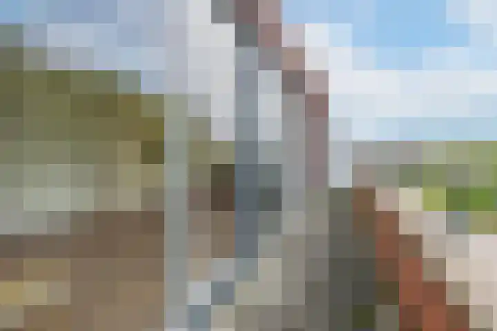 Meeslaan 2 28 Tiel thumbnail 27