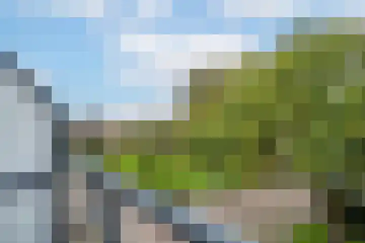 Meeslaan 2 28 Tiel thumbnail 28
