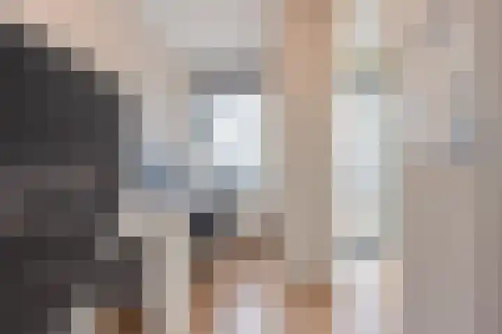 Meeslaan 2 28 Tiel thumbnail 30